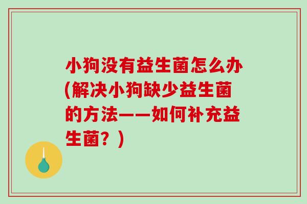 小狗没有益生菌怎么办(解决小狗缺少益生菌的方法——如何补充益生菌？)