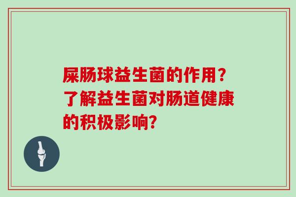 屎肠球益生菌的作用？了解益生菌对肠道健康的积极影响？