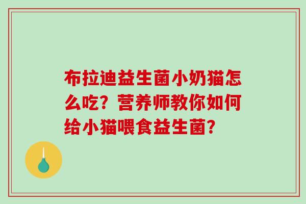 布拉迪益生菌小奶猫怎么吃？营养师教你如何给小猫喂食益生菌？