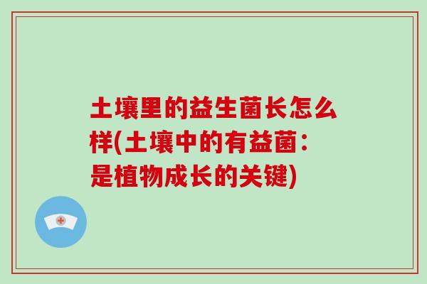 土壤里的益生菌长怎么样(土壤中的有益菌：是植物成长的关键)