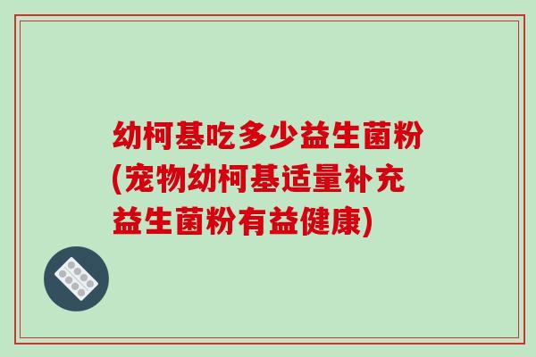 幼柯基吃多少益生菌粉(宠物幼柯基适量补充益生菌粉有益健康)