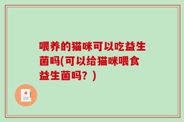 喂养的猫咪可以吃益生菌吗(可以给猫咪喂食益生菌吗？)