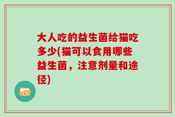 大人吃的益生菌给猫吃多少(猫可以食用哪些益生菌，注意剂量和途径)