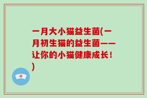 一月大小猫益生菌(一月初生猫的益生菌——让你的小猫健康成长!) 一月大小猫益生菌(一月初生猫的益生菌——让你的小猫健康成长!)