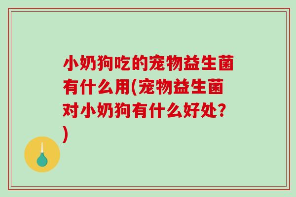 小奶狗吃的宠物益生菌有什么用(宠物益生菌对小奶狗有什么好处?) 小奶狗吃的宠物益生菌有什么用(宠物益生菌对小奶狗有什么好处?)