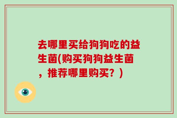 去哪里买给狗狗吃的益生菌(购买狗狗益生菌，推荐哪里购买？)