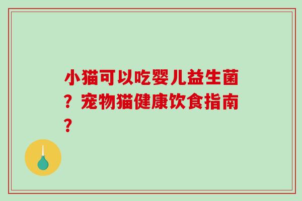 小猫可以吃婴儿益生菌？宠物猫健康饮食指南？
