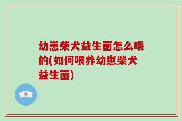 幼崽柴犬益生菌怎么喂的(如何喂养幼崽柴犬益生菌) 幼崽柴犬益生菌怎么喂的(如何喂养幼崽柴犬益生菌)