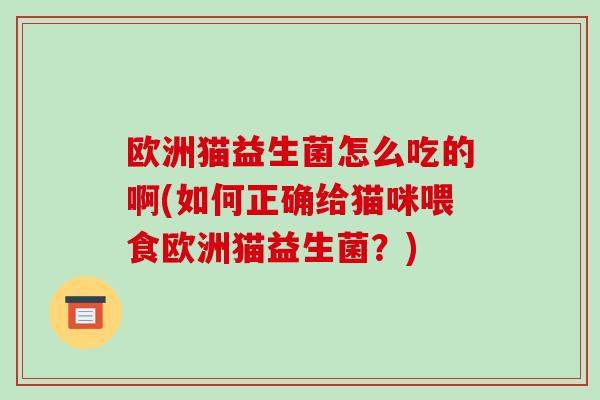 欧洲猫益生菌怎么吃的啊(如何正确给猫咪喂食欧洲猫益生菌？)