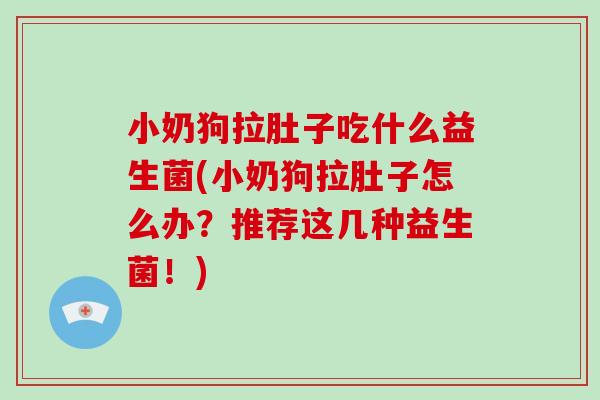小奶狗拉肚子吃什么益生菌(小奶狗拉肚子怎么办？推荐这几种益生菌！)