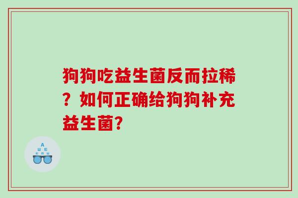 狗狗吃益生菌反而拉稀？如何正确给狗狗补充益生菌？