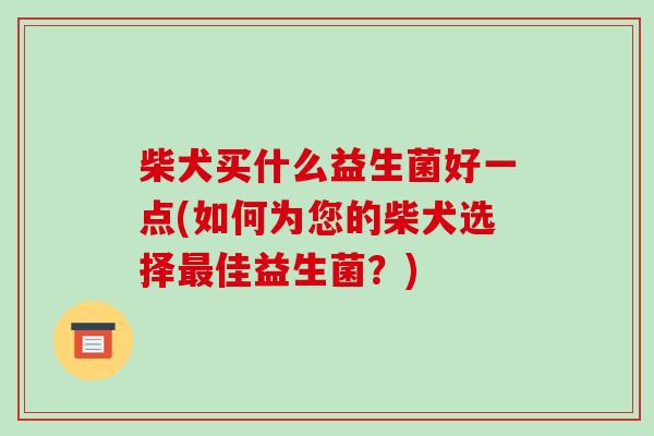 柴犬买什么益生菌好一点(如何为您的柴犬选择最佳益生菌？)