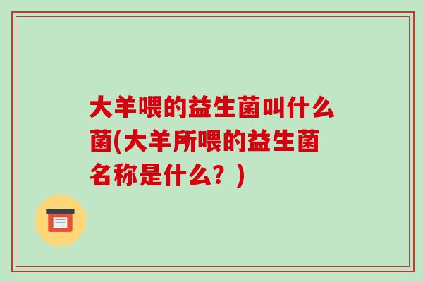 大羊喂的益生菌叫什么菌(大羊所喂的益生菌名称是什么？)