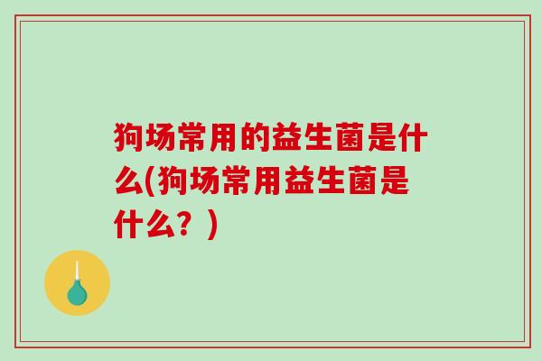 狗场常用的益生菌是什么(狗场常用益生菌是什么？)