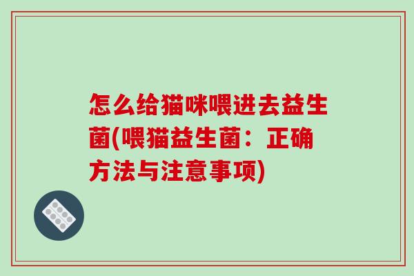 怎么给猫咪喂进去益生菌(喂猫益生菌:正确方法与注意事项) 怎么给猫咪喂进去益生菌(喂猫益生菌:正确方法与注意事项)
