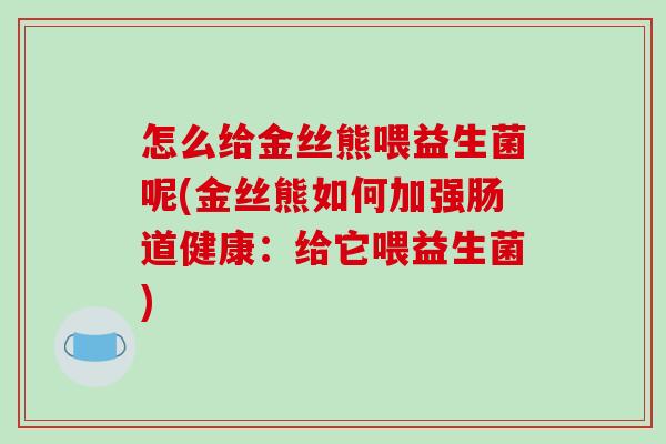 怎么给金丝熊喂益生菌呢(金丝熊如何加强肠道健康：给它喂益生菌)