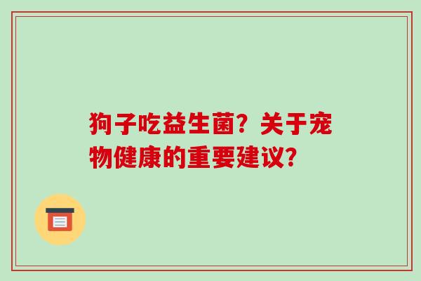 狗子吃益生菌？关于宠物健康的重要建议？