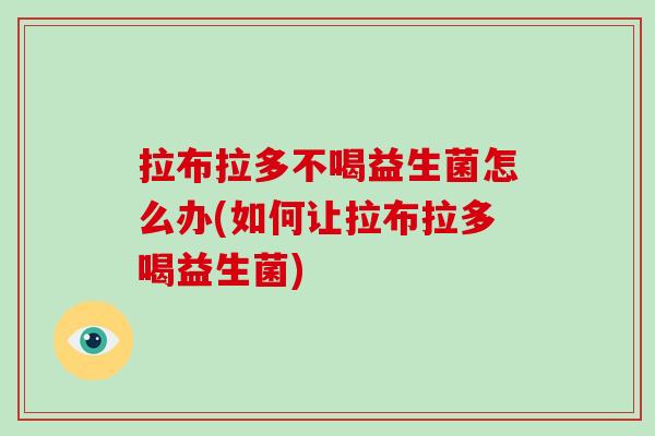 拉布拉多不喝益生菌怎么办(如何让拉布拉多喝益生菌)