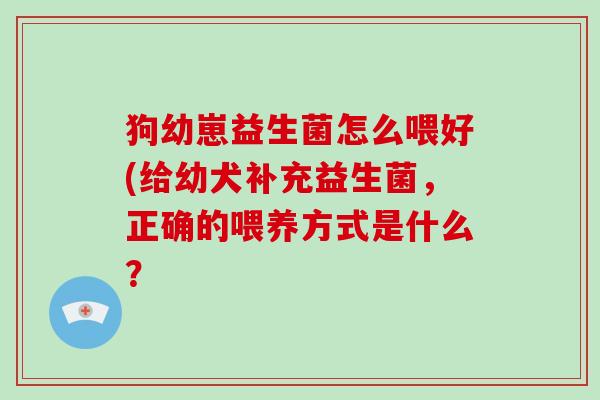 狗幼崽益生菌怎么喂好(给幼犬补充益生菌，正确的喂养方式是什么？