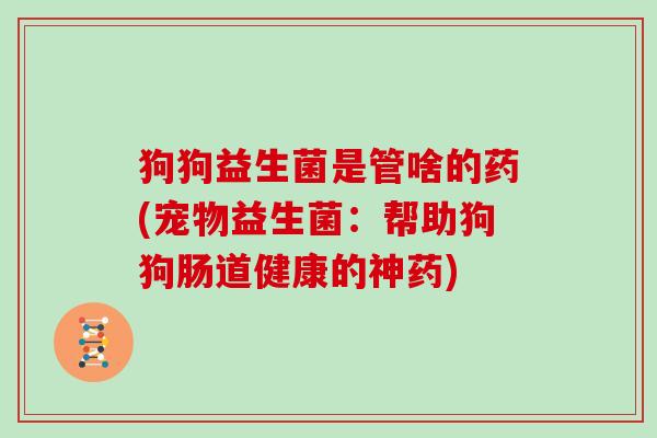 狗狗益生菌是管啥的药(宠物益生菌：帮助狗狗肠道健康的神药)