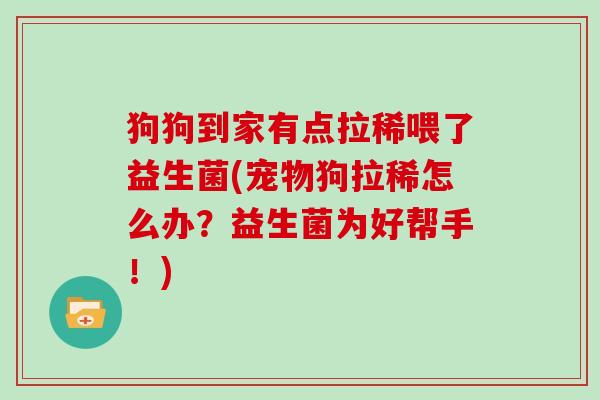 狗狗到家有点拉稀喂了益生菌(宠物狗拉稀怎么办？益生菌为好帮手！)