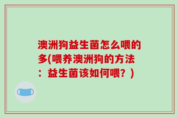 澳洲狗益生菌怎么喂的多(喂养澳洲狗的方法：益生菌该如何喂？)