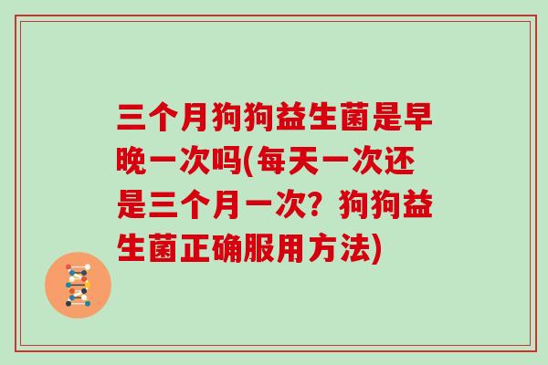 三个月狗狗益生菌是早晚一次吗(每天一次还是三个月一次？狗狗益生菌正确服用方法)