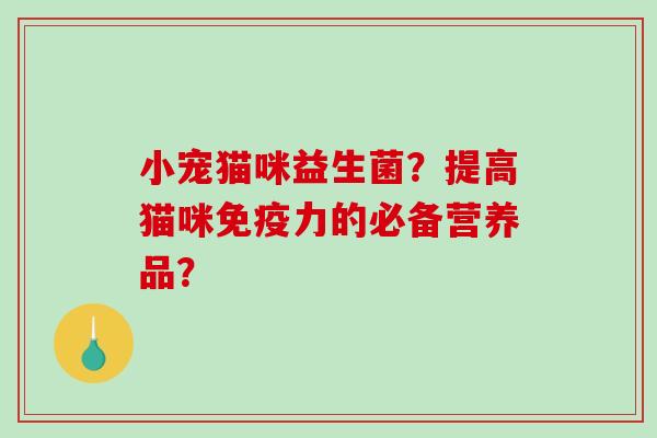 小宠猫咪益生菌?提高猫咪力的必备营养品? 小宠猫咪益生菌?提高猫咪力的必备营养品?
