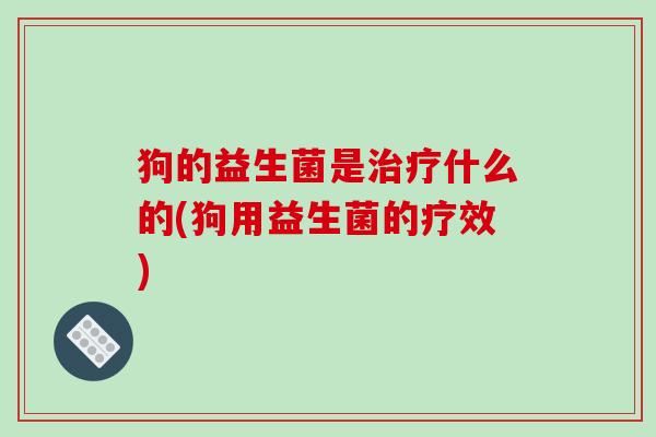 狗的益生菌是什么的(狗用益生菌的疗效)