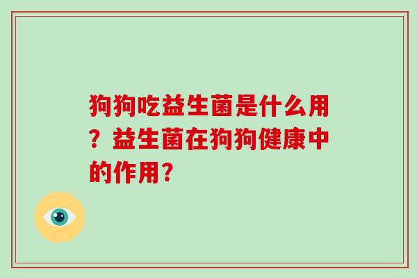 狗狗吃益生菌是什么用？益生菌在狗狗健康中的作用？