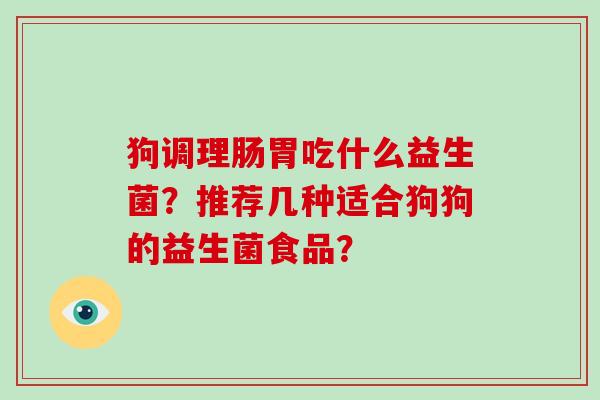 狗调理肠胃吃什么益生菌？推荐几种适合狗狗的益生菌食品？
