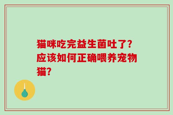 猫咪吃完益生菌吐了？应该如何正确喂养宠物猫？