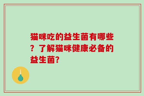 猫咪吃的益生菌有哪些？了解猫咪健康必备的益生菌？