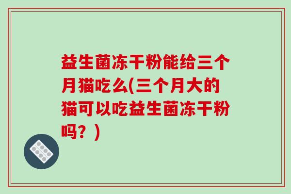 益生菌冻干粉能给三个月猫吃么(三个月大的猫可以吃益生菌冻干粉吗？)
