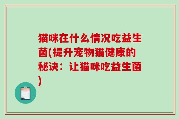 猫咪在什么情况吃益生菌(提升宠物猫健康的秘诀：让猫咪吃益生菌)
