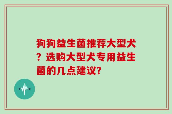 狗狗益生菌推荐大型犬？选购大型犬专用益生菌的几点建议？
