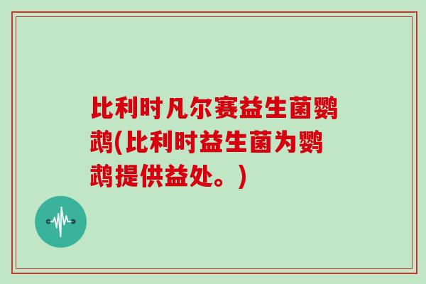 比利时凡尔赛益生菌鹦鹉(比利时益生菌为鹦鹉提供益处。)