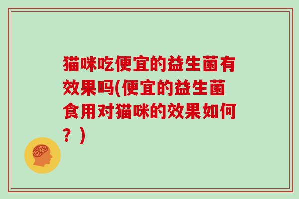 猫咪吃便宜的益生菌有效果吗(便宜的益生菌食用对猫咪的效果如何？)