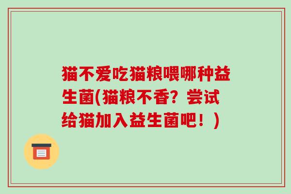 猫不爱吃猫粮喂哪种益生菌(猫粮不香？尝试给猫加入益生菌吧！)