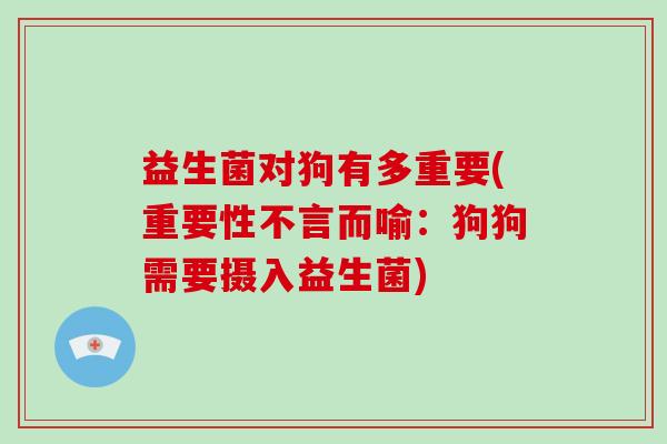 益生菌对狗有多重要(重要性不言而喻：狗狗需要摄入益生菌)