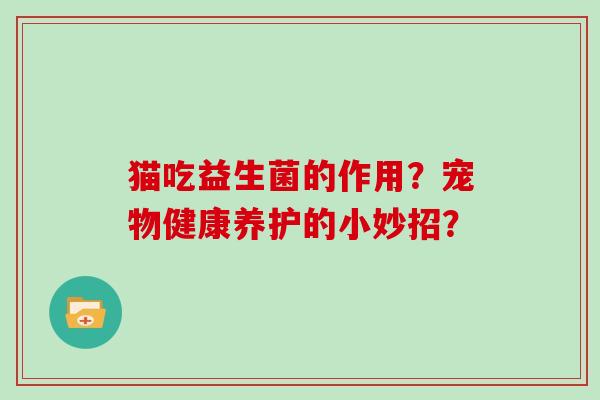 猫吃益生菌的作用？宠物健康养护的小妙招？