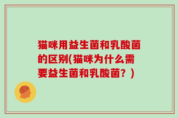 猫咪用益生菌和乳酸菌的区别(猫咪为什么需要益生菌和乳酸菌？)
