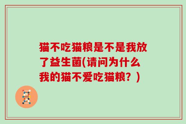 猫不吃猫粮是不是我放了益生菌(请问为什么我的猫不爱吃猫粮？)