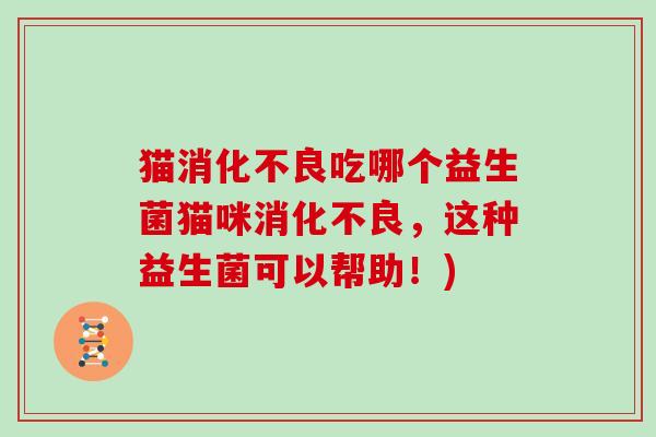 猫吃哪个益生菌猫咪，这种益生菌可以帮助！)