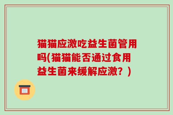 猫猫应激吃益生菌管用吗(猫猫能否通过食用益生菌来缓解应激？)