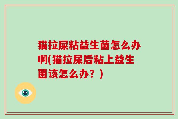猫拉屎粘益生菌怎么办啊(猫拉屎后粘上益生菌该怎么办？)