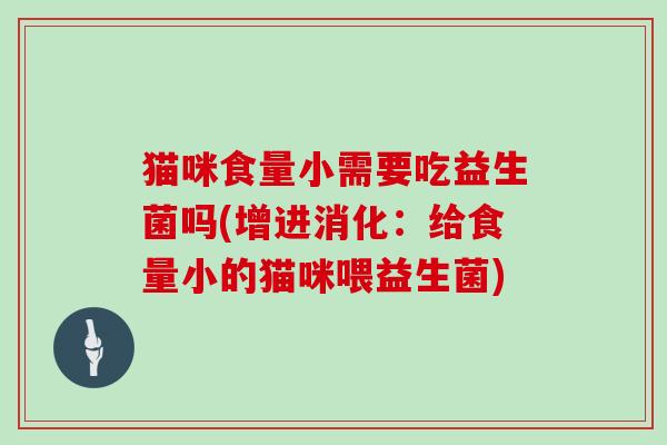 猫咪食量小需要吃益生菌吗(增进消化：给食量小的猫咪喂益生菌)
