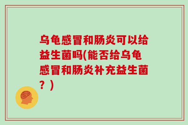 乌龟感冒和肠炎可以给益生菌吗(能否给乌龟感冒和肠炎补充益生菌？)