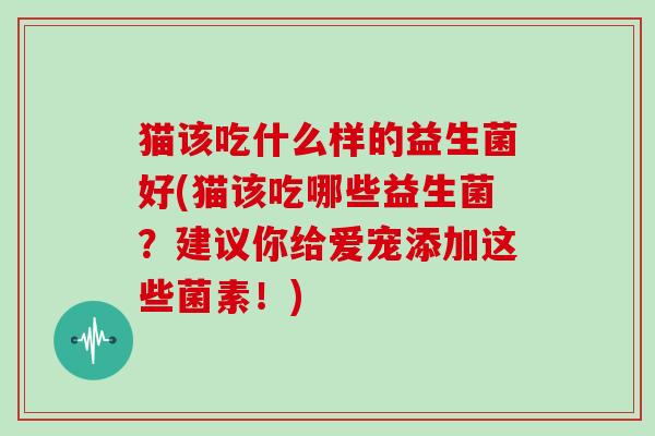 猫该吃什么样的益生菌好(猫该吃哪些益生菌？建议你给爱宠添加这些菌素！)