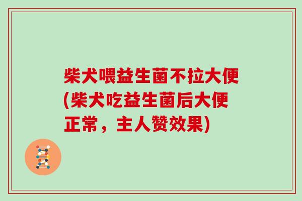 柴犬喂益生菌不拉大便(柴犬吃益生菌后大便正常，主人赞效果)